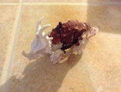 Набор фигурок для росписи «Динозавр» (2 шт) - Фото 2