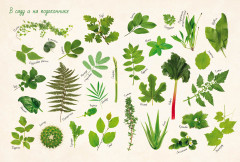 Невероятные растения. Том 1 - Фото 1