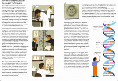 ДНК: код жизни - Фото 5