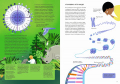 ДНК: код жизни - Фото 6