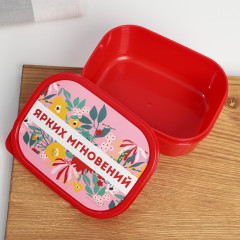 Ланч-бокс «Ярких мгновений» - Фото 1