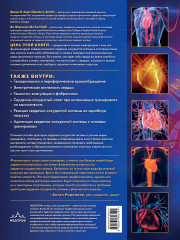 Сердечно-сосудистая система. Анатомия и физиология в покое и при физических нагрузках - Фото 1