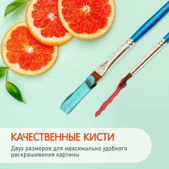 Картина по номерам «Черепаха на камнях» - Фото 2