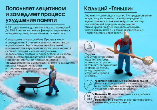 Мозговой кальций