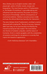 Frankenstein or, The Modern Prometheus - Фото 1