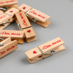 Набор декора для творчества «Прищепка. Для тебя» - Фото 1