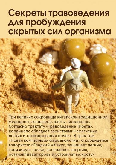 Капсулы с мицелием Кордицепс