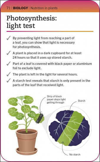 SuperSimple Revision Cards: Biology