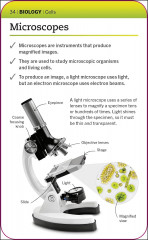 SuperSimple Revision Cards: Biology - Фото 5