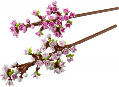 Конструктор Iconic 40725 Цветущая вишня. Cherry Blossoms - Фото 1
