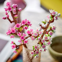 Конструктор Iconic 40725 Цветущая вишня. Cherry Blossoms - Фото 5