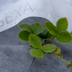 Комплект укрывной для земляники садовой - Фото 3