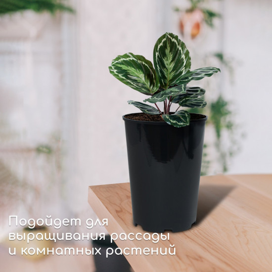 Горшок для рассады