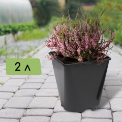 Горшок для рассады - Фото 2