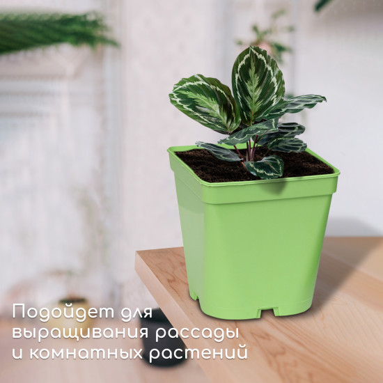 Горшок для рассады
