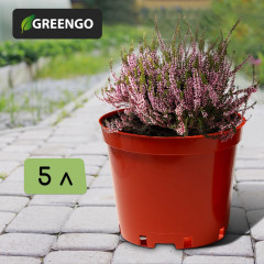 Горшок для рассады - Фото 1