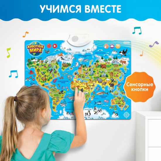 Плакат обучающий «Животные мира»