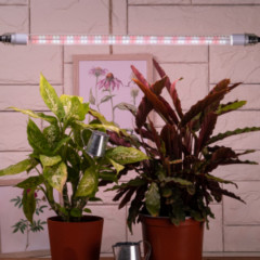 Фитолампа светодиодная - Фото 4