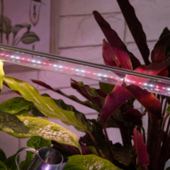 Фитолампа светодиодная - Фото 5