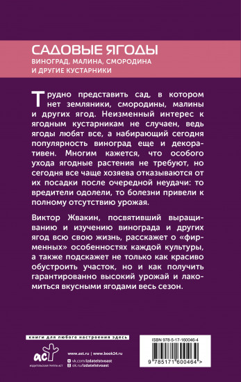 Садовые ягоды. Виноград, малина, смородина