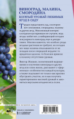 Виноград, малина, смородина. Богатый урожай любимых ягод в саду - Фото 1