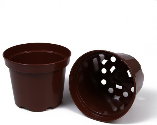 Горшок для рассады