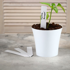 Набор табличек садовых - Фото 2