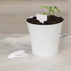 Набор табличек садовых - Фото 2