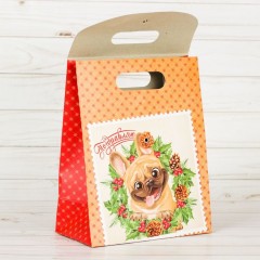 Пакет подарочный с клапаном «Поздравляю!» - Фото 1