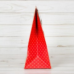 Пакет подарочный с клапаном «Поздравляю!» - Фото 2