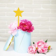 Топпер «Звезда» - Фото 2