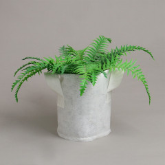 Контейнер для рассады - Фото 1