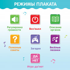 Плакат обучающий «Изучаем анатомию: мое тело» - Фото 2