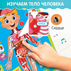 Плакат обучающий «Изучаем анатомию: мое тело» - Фото 3