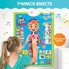 Плакат обучающий «Изучаем анатомию: мое тело» - Фото 4