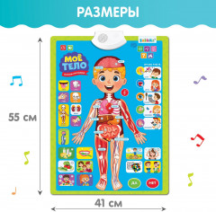 Плакат обучающий «Изучаем анатомию: мое тело» - Фото 6