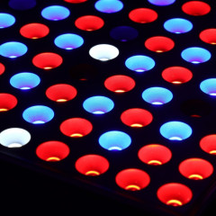 Фитосветильник светодиодный полноспектральный - Фото 2