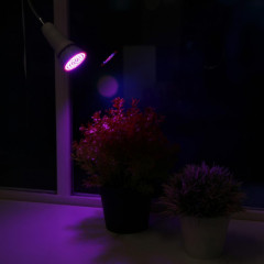 Фитолампа светодиодная - Фото 4