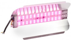 Фитопрожектор светодиодный мультиспектральный - Фото 1