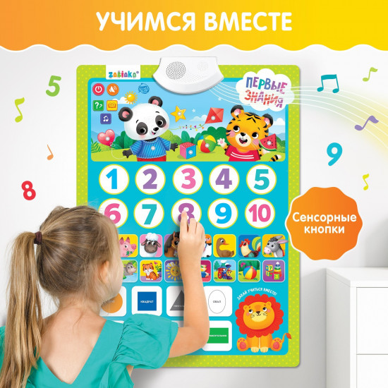 Плакат обучающий «Первые знания»