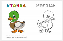 Бычок. Узнай и раскрась - Фото 2