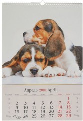 Календарь 2018 «Щенки» (перекидной, А3) - Фото 1