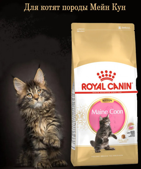Корм для котят породы мейн-кун «Kitten Maine Coon»