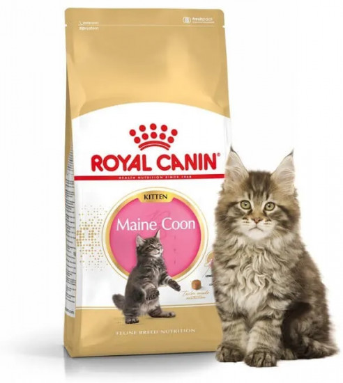 Корм для котят породы мейн-кун «Kitten Maine Coon»
