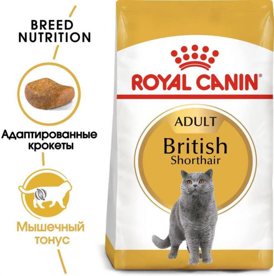 Корм для кошек породы британская короткошерстная