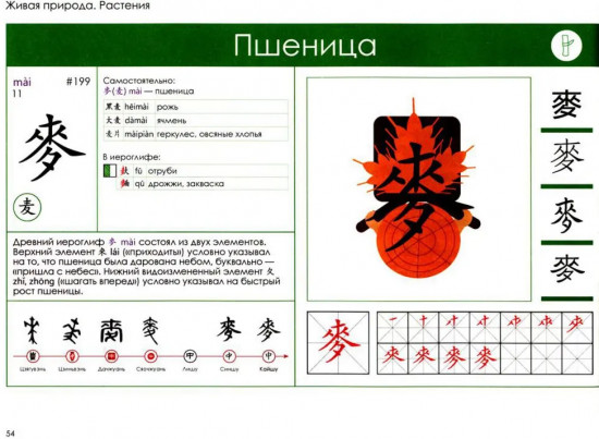 Учи ключи. Изучаем, запоминаем, пишем и играем