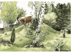 Телёнок на рождество - Фото 4