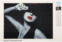 Мозаика алмазная «Девушка в стиле танго» - Фото 1