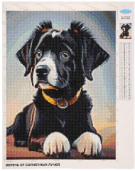 Мозаика алмазная «Щенок чёрного ротвейлера» - Фото 1