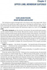 Topographic Anatomy and Operative Surgery. Textbook - Фото 1